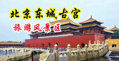 岛国色图中国北京-东城古宫旅游风景区